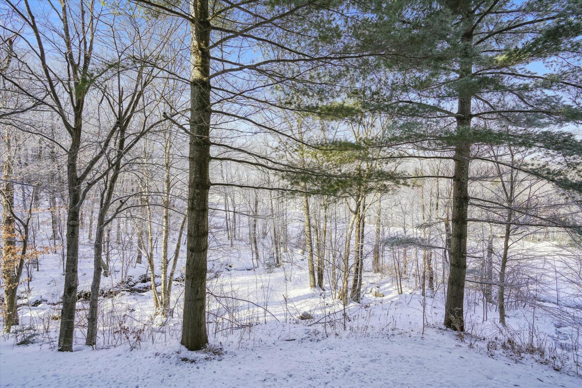 3-Bedroom Condo Ski-In, Shuttle, And Cozy Fireplace Whiffletree I3 Killington Buitenkant foto